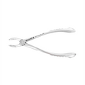 Forceps d'extraction – F7, troisièmes molaires inférieures