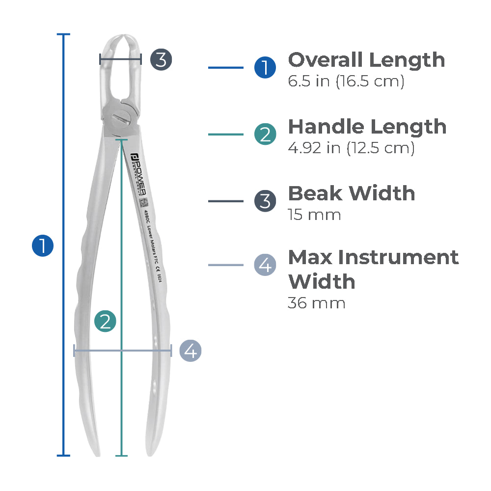Dimensions of Power Universal F7CP lower molar atraumatic extraction forceps including overall length, handle length, beak width, and max instrument width