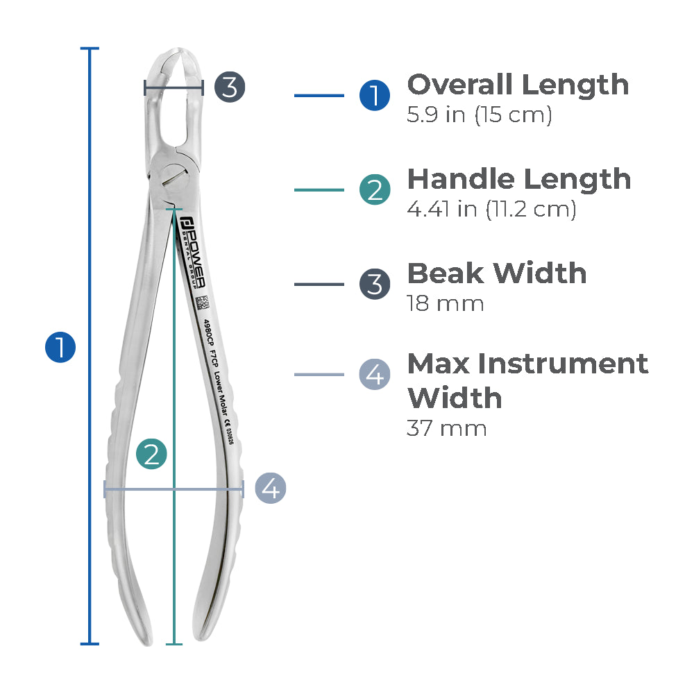 Dimensions of Power Universal F7CP lower molar atraumatic extraction forceps including overall length, handle length, beak width, and max instrument width