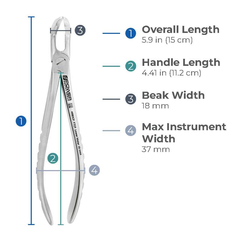 Dimensions of Power Universal F7CP lower molar atraumatic extraction forceps including overall length, handle length, beak width, and max instrument width