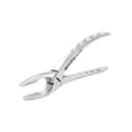 Extraction Forceps – F8, Upper Universal