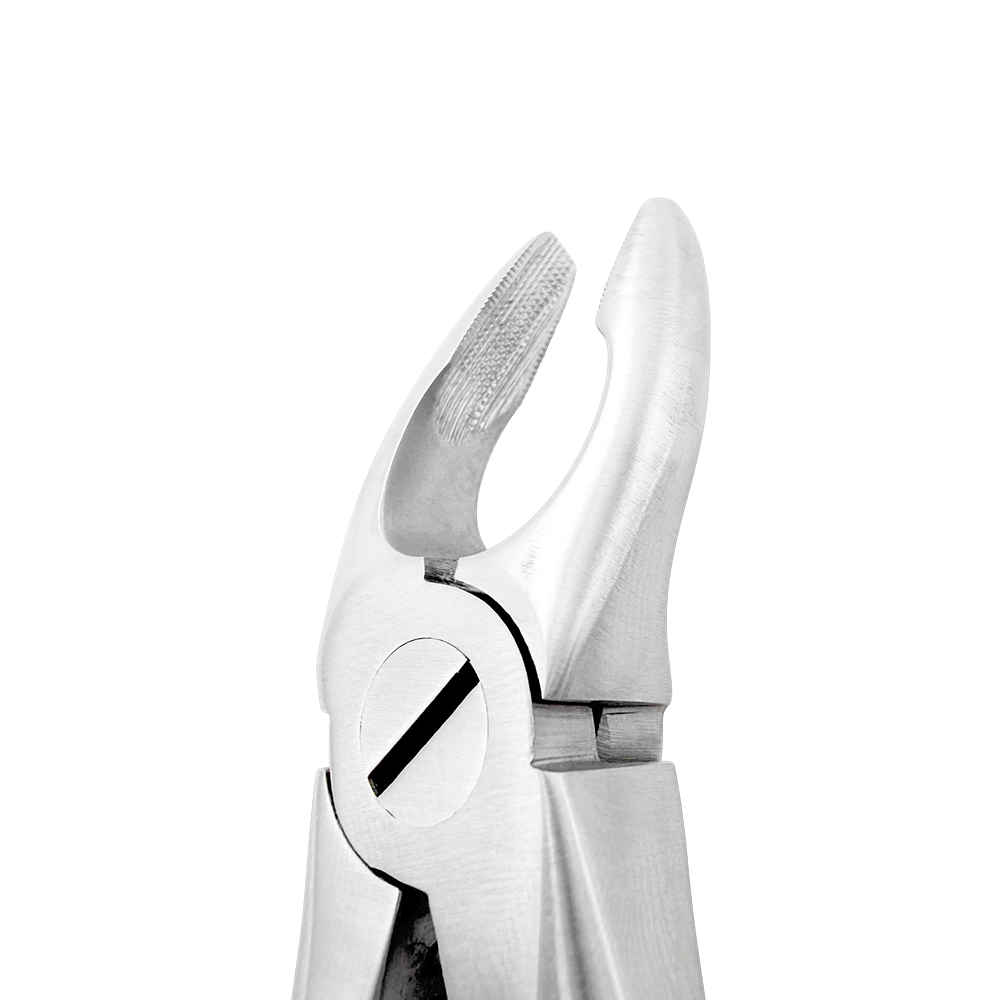 Extraction Forceps – F8, Upper Universal