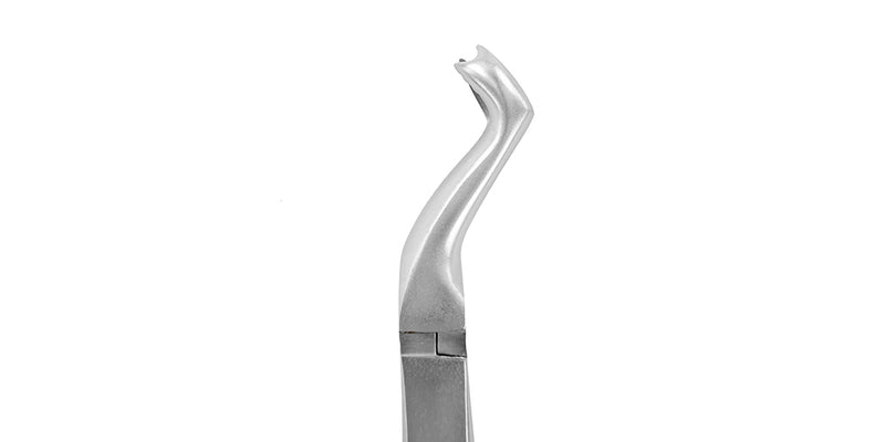 Fórceps de extracción F12 Molar superior derecho