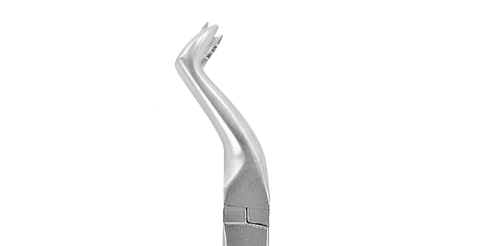 Fórceps de extracción F12 Molar superior derecho