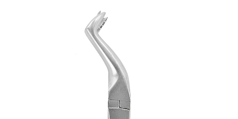 Fórceps de extracción F12 Molar superior derecho