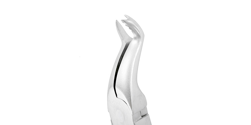 Fórceps de extracción F12 Molar superior derecho