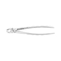 Forceps d'extraction – F13, molaire supérieure droite