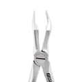 Forceps d'extraction – F18, Racine supérieure