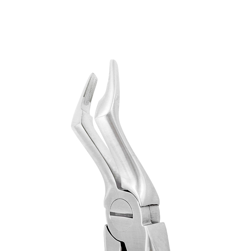 Extraction Forceps – F18, Upper Root