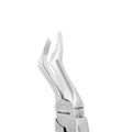 Forceps d'extraction – F18, Racine supérieure