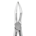 Forceps d'extraction – F18, Racine supérieure