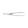 Forceps d'extraction – F18, Racine supérieure
