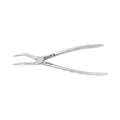 Forceps d'extraction – F18, Racine supérieure