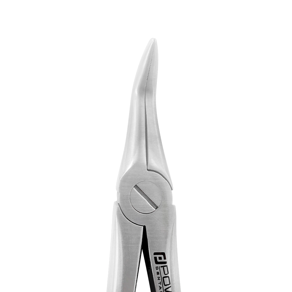 Pince d'extraction F19 pour pointe de racine inférieure