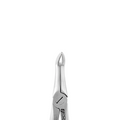 Forceps d'extraction – F19, Racine inférieure