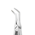 Forceps d'extraction – F19, Racine inférieure