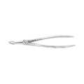 Forceps d'extraction – F19, Racine inférieure