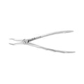 Forceps d'extraction – F19, Racine inférieure