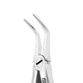 Forceps d'extraction – 46XL, Racine inférieure