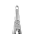 Forceps d'extraction – 49, Racine supérieure