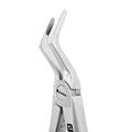 Pince d'extraction radiculaire électrique – 51SR, racine supérieure – Becs fins