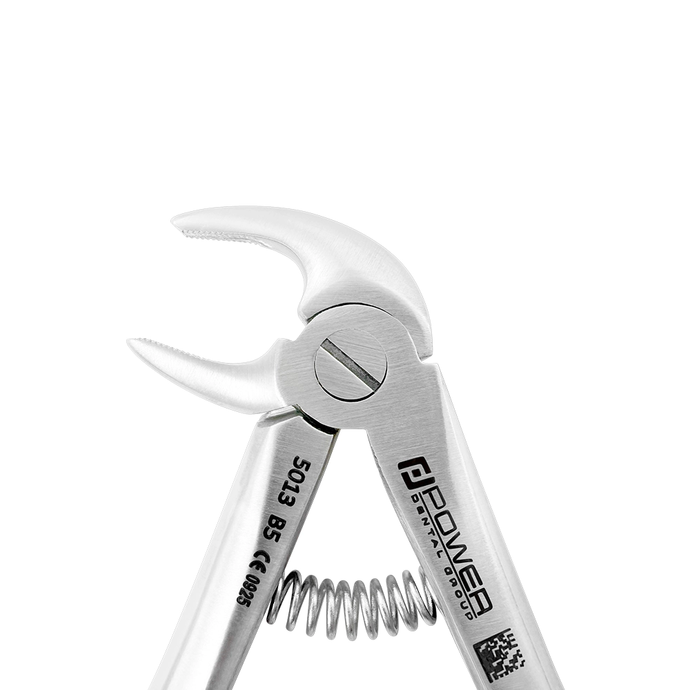 Forceps d'extraction Baby B5 Incisive inférieure