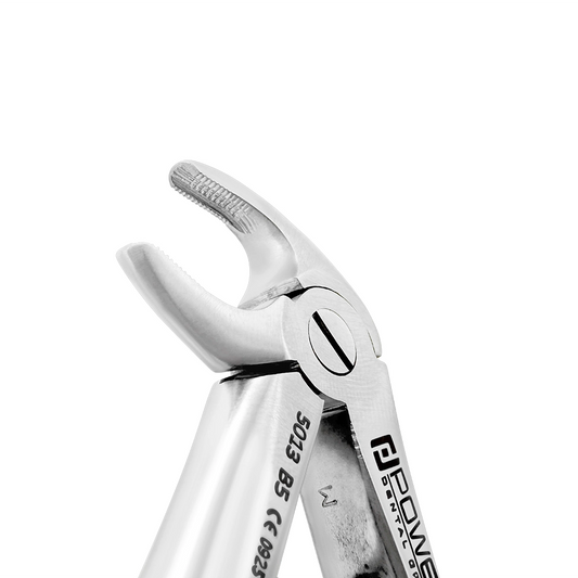 Forceps d'extraction Baby B5 Incisive inférieure