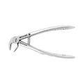 Forceps d'extraction – Baby B7, racine inférieure