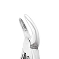 Forceps d'extraction – Baby B150SK, universel supérieur