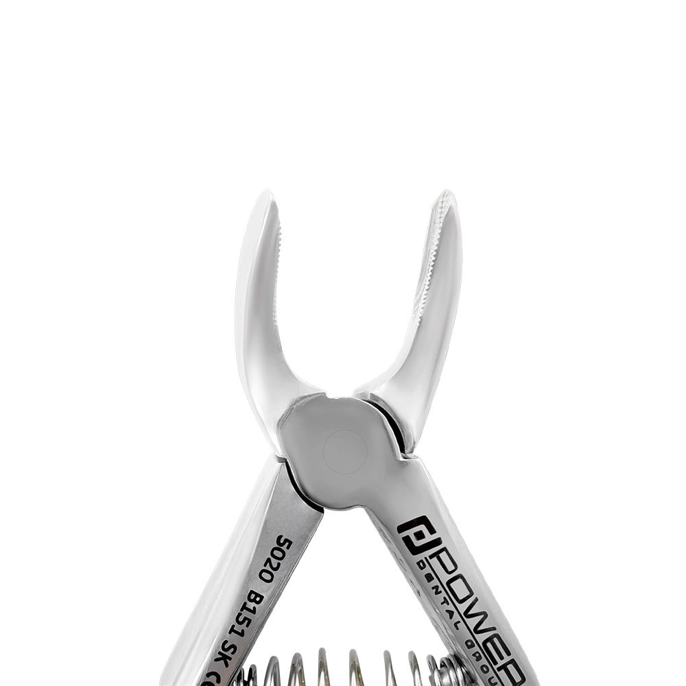 Extraction Forceps – Baby B151SK, Lower Universal