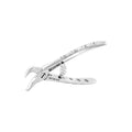 Forceps d'extraction – Baby B23, molaire inférieure, corne de vache 