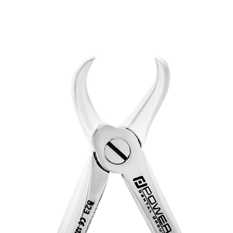 Pinzas de extracción – Bebé B23, Molar inferior, Cuerno de vaca