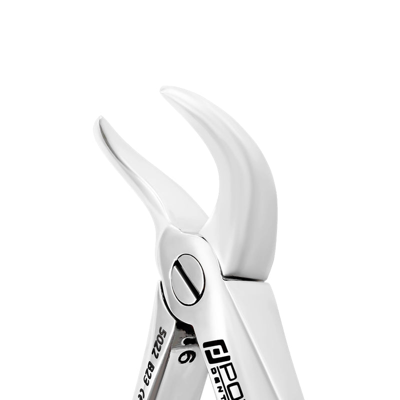 Pinzas de extracción – Bebé B23, Molar inferior, Cuerno de vaca