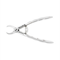 Forceps d'extraction – Baby B23, molaire inférieure, corne de vache 