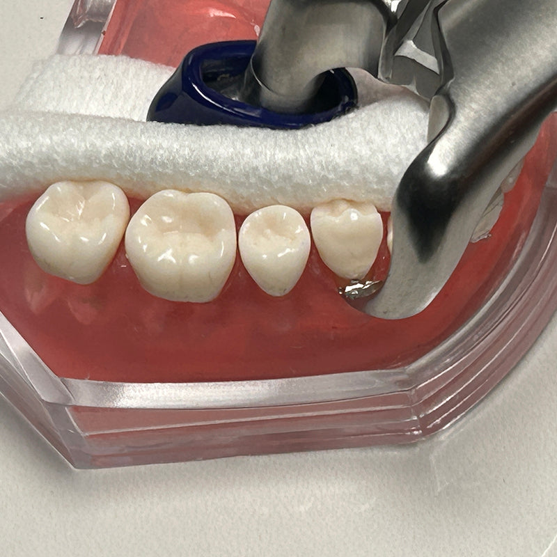 Power Fulcrum Forceps Kit – Set of 2, Atraumatic Extraction