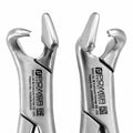 Close-up of Power Fulcrum forceps hawk talon tips for controlled atraumatic tooth extraction