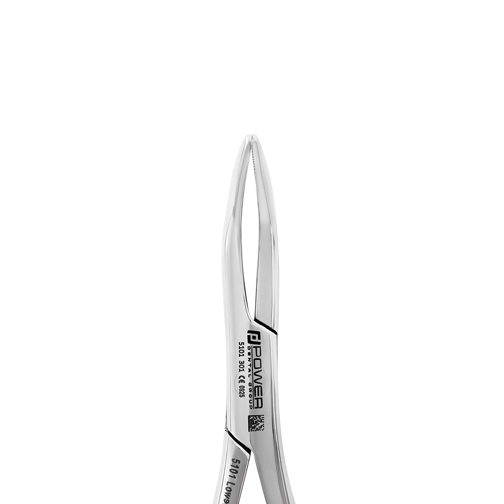 Forceps d'extraction – 301, Racine inférieure