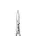 Forceps d'extraction – 301, Racine inférieure