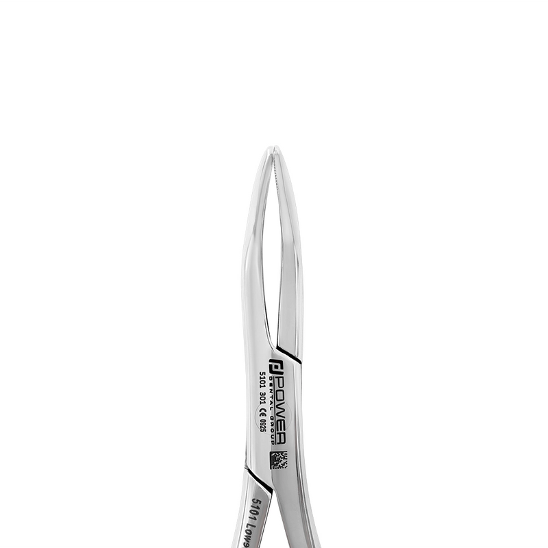 Forceps d'extraction – 301, Racine inférieure