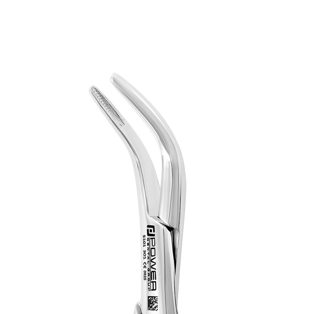 Forceps d'extraction – 301, Racine inférieure