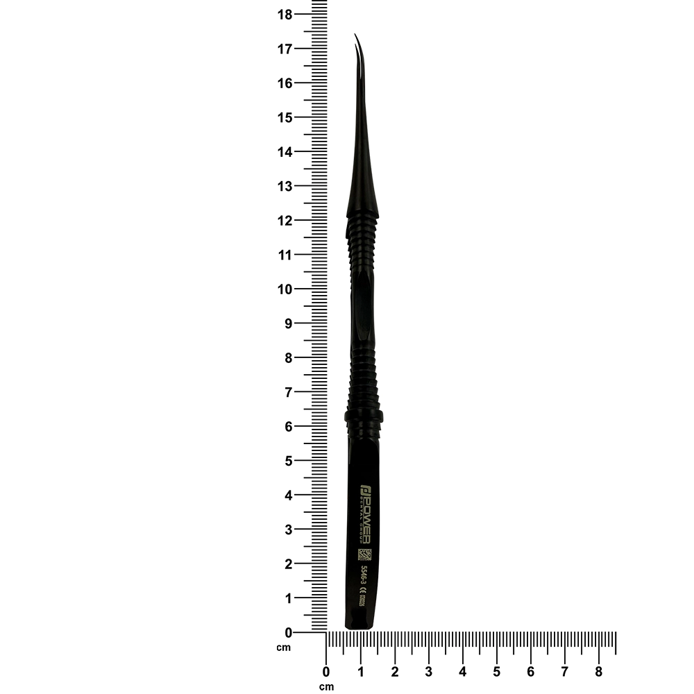 955873_6