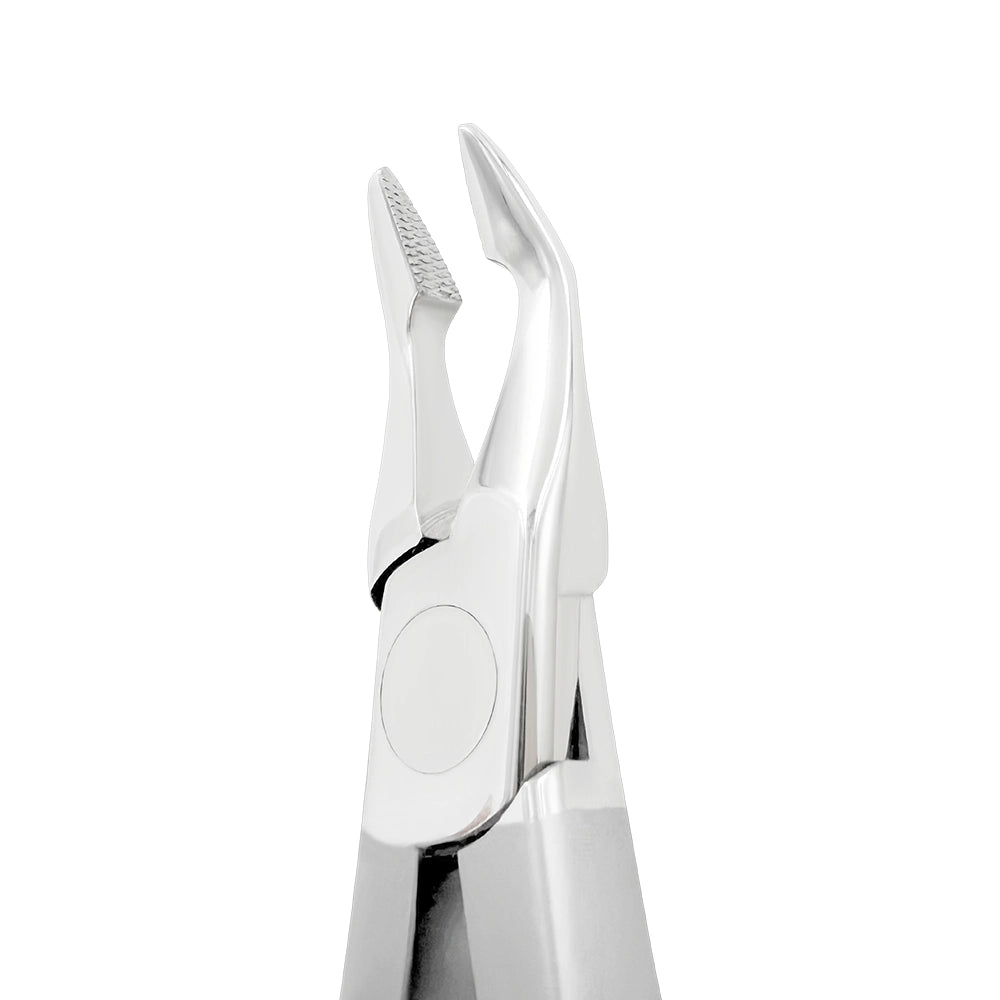 Pince orthodontique Weingart plus épaisse