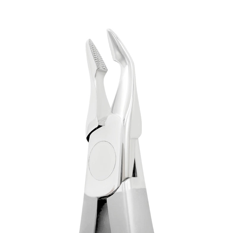 Pince orthodontique Weingart plus épaisse