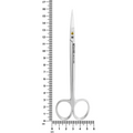 Ciseaux de Kelly – Droits, 16 cm (6,3 po)