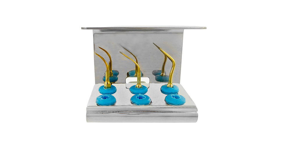 PIEZO SCALER TIPS 7631S EMS REGULAR SCALER PERIODONTICS GOLD SET OF 4 WITH CASSETTE7631-1