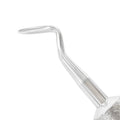 Close-up of Flohr S-Sharp straight 3 mm working tip