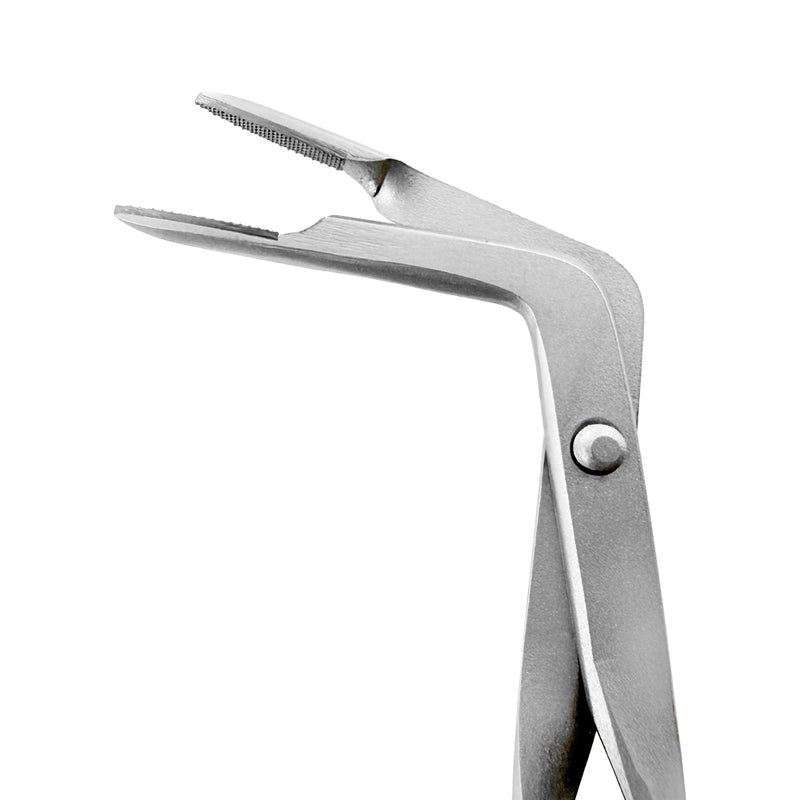 Close-up of tungsten carbide gripping tips on LASCHAL RAPTOR Forceps