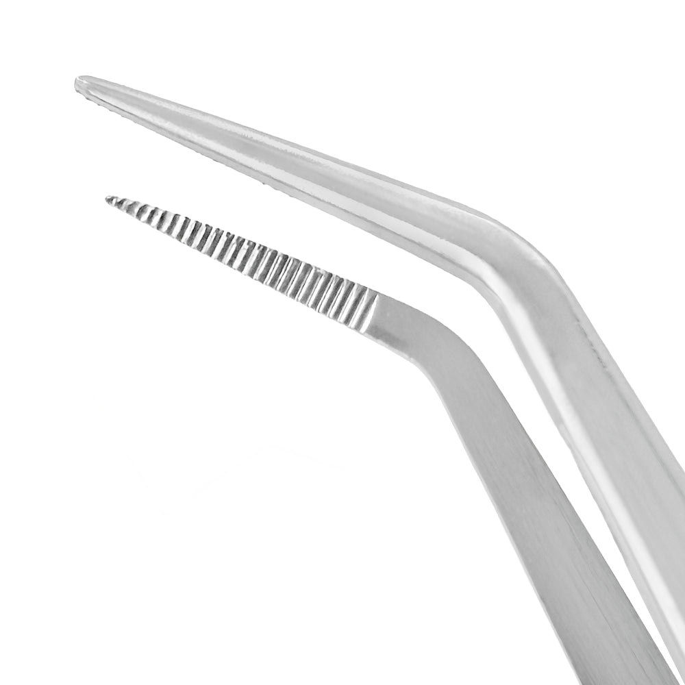 Close-up of angled working end on London College Tissue Forceps – SKU 6517