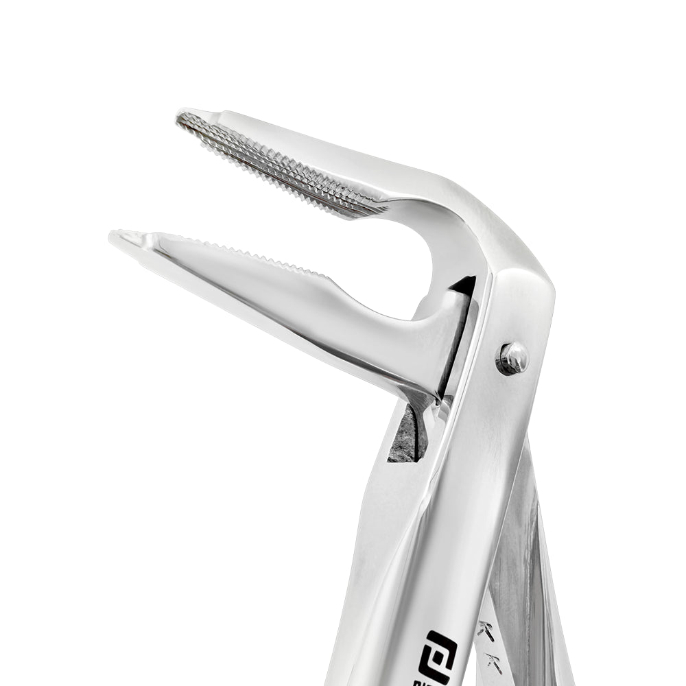 Close-up of modified slim beaks on Power Ash F4 lower anterior atraumatic extraction forceps – SKU 4977