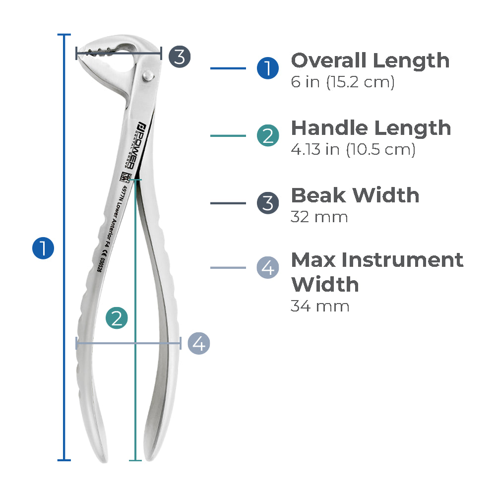 Measurements and dimensions of Power Ash F4P lower anterior atraumatic extraction forceps with standard beaks – SKU 4977N